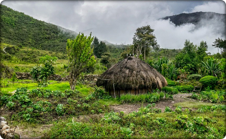 5 day trips in Papua