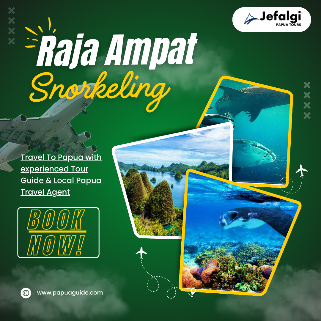 Raja Ampat Snorkeling: Explore Coral Reefs and Islands