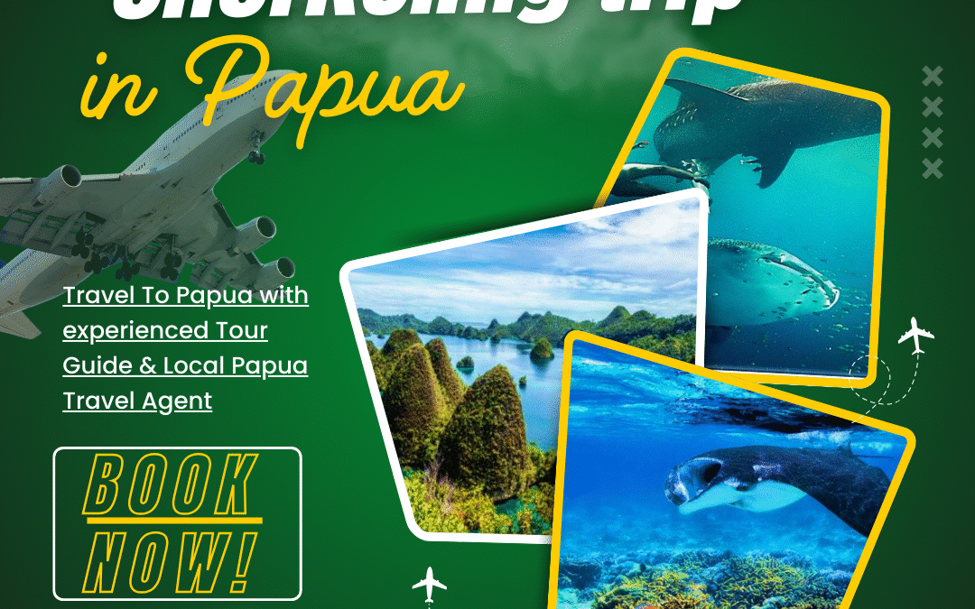 Snorkeling Trip in Papua: Explore the Underwater Paradise