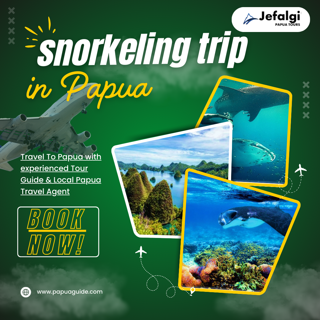 Snorkeling Trip in Papua: Explore the Underwater Paradise