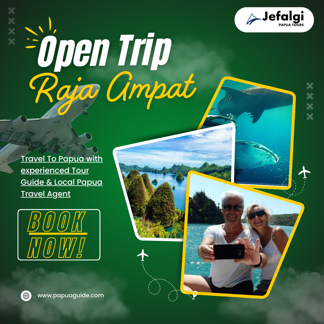 Open Trip Raja Ampat: Snorkeling & Stunning Panoramas