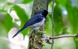 Bird Watching Tour (3)