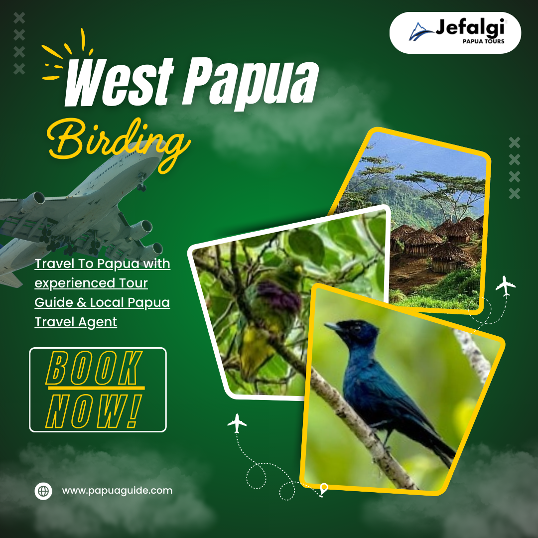 The Most West Papua Birding | Sorong, Raja Ampat, Arfak & Biak