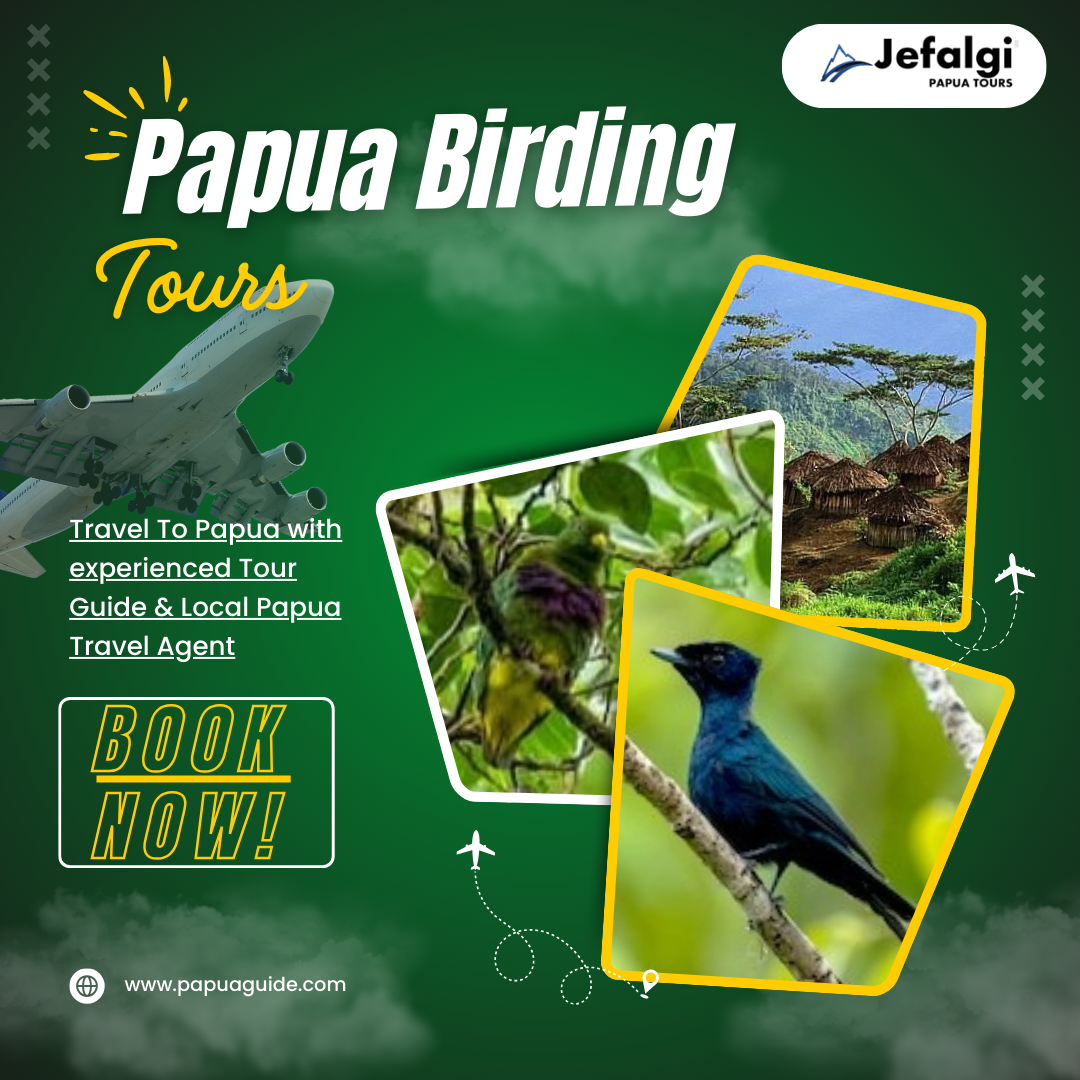 Papua Birding Tours | Exotic Bird Watching Adventures