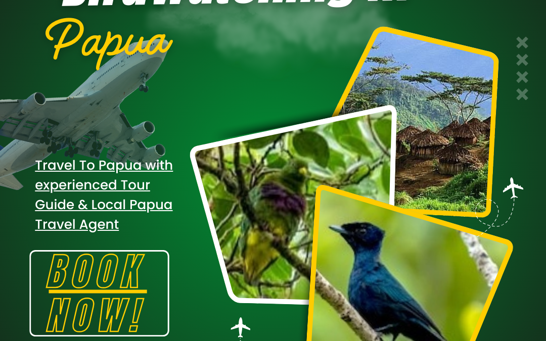 Birdwatching in Papua