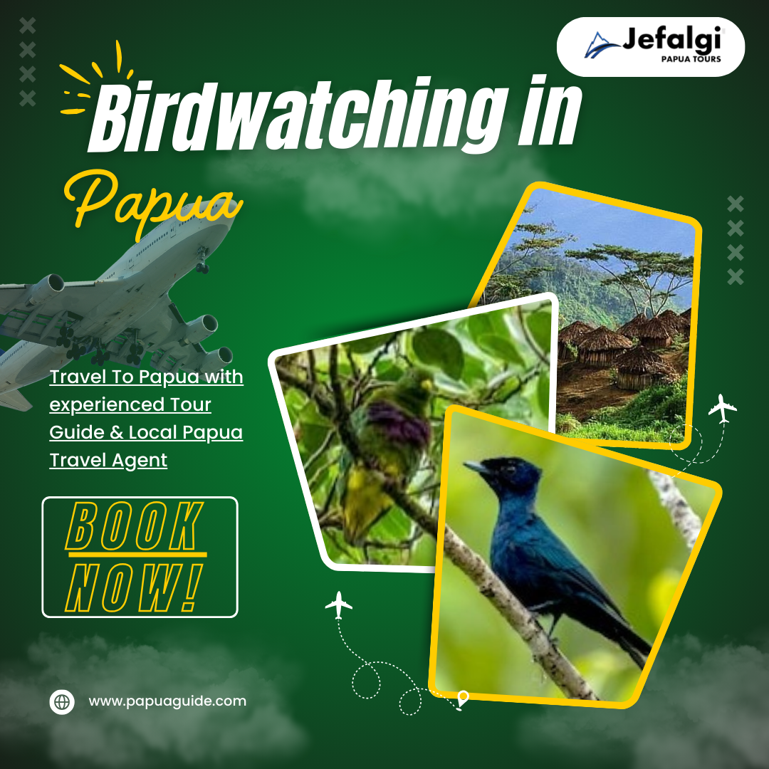 Birdwatching in Papua | Exploring Rare Bird Habitats