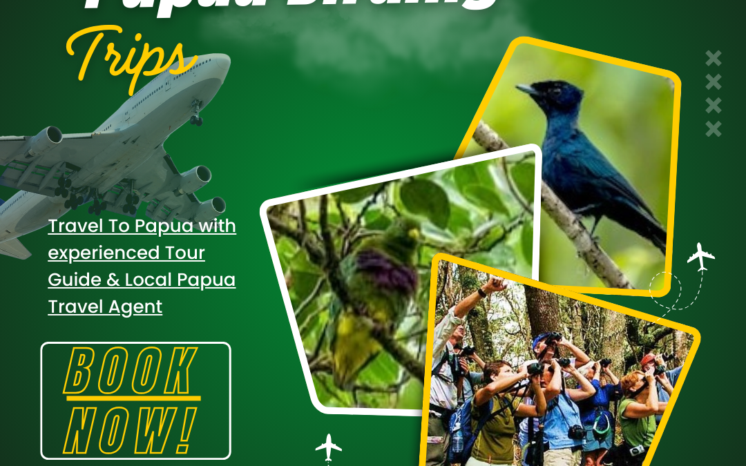Papua Birding Trips | Paradise for Endemic Birds in Papua