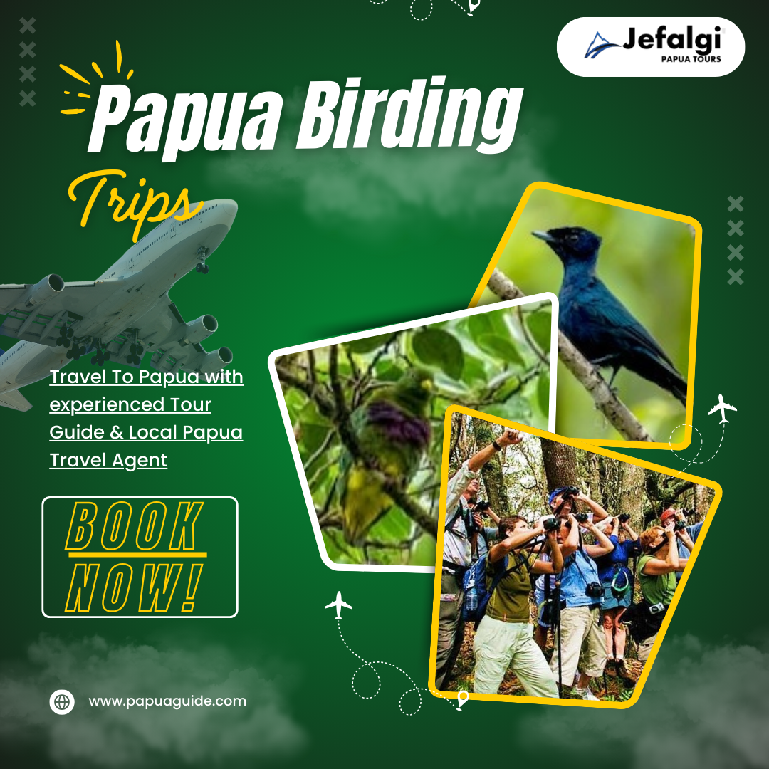 Papua Birding Trips | Paradise for Endemic Birds in Papua