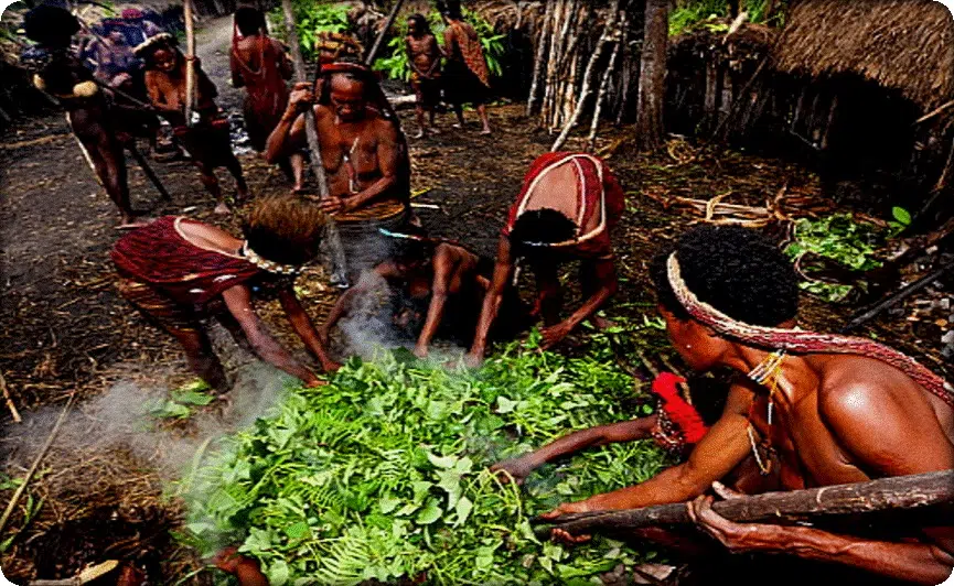 baliem valley dani people 