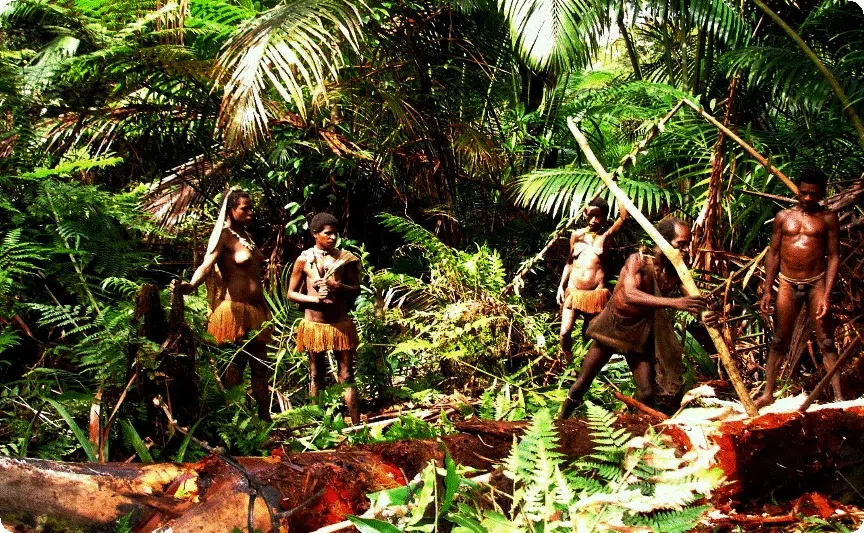 Korowai-People korowai people