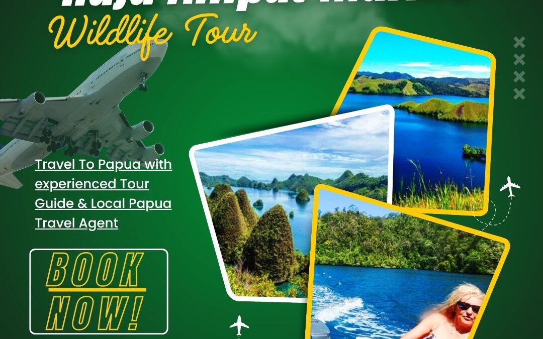 Raja Ampat Marine Wildlife Tour