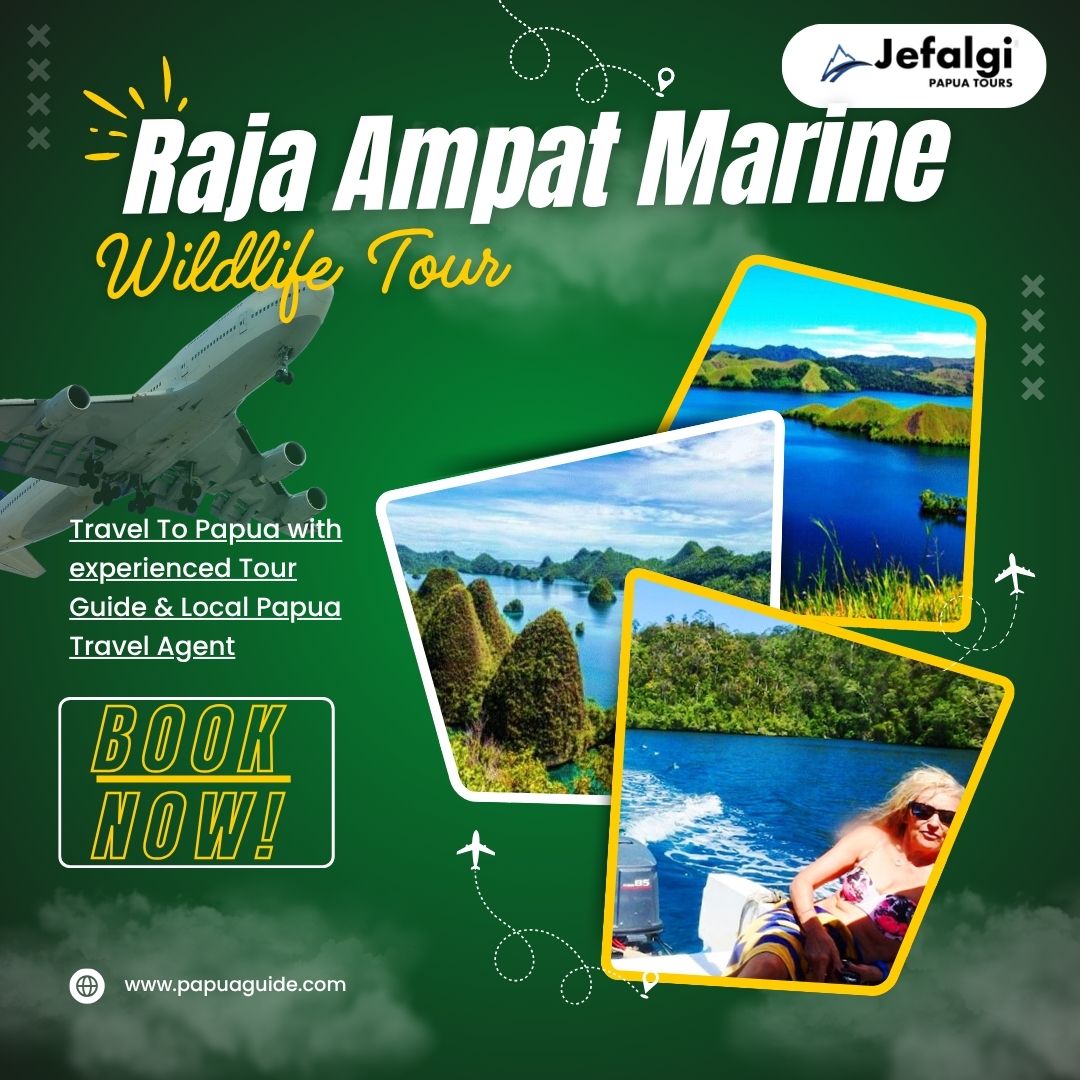 Best Raja Ampat Marine Wildlife Tour Experience