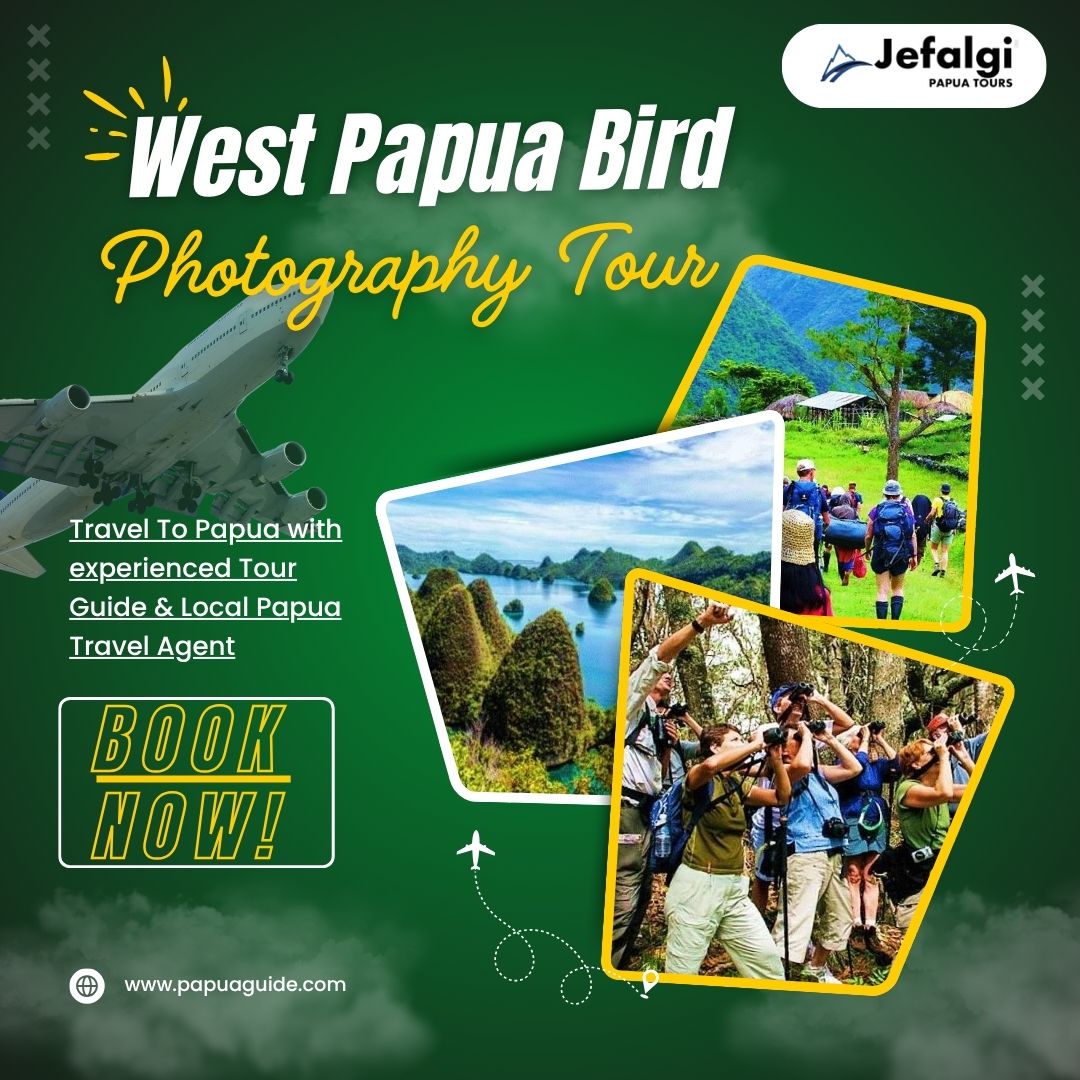 West Papua Bird Photography Tour in the Tropical Rainforest